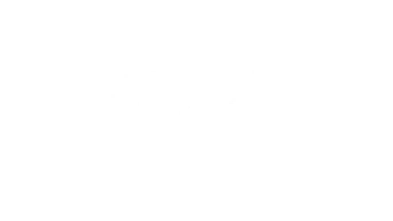 Logo for Nordic Television Networks